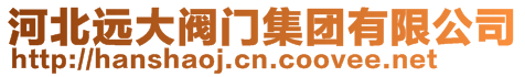 河北遠大閥門集團有限公司