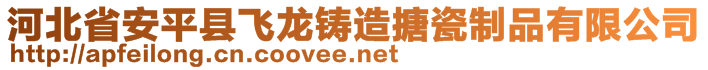 河北省安平縣飛龍鑄造搪瓷制品有限公司