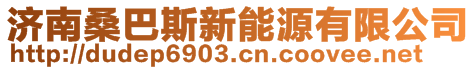 濟(jì)南桑巴斯新能源有限公司