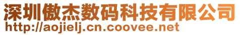 深圳傲杰數碼科技有限公司