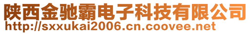 陕西金驰霸电子科技有限公司