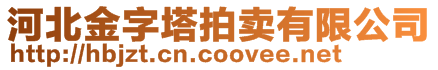 河北金字塔拍賣有限公司