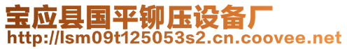 寶應(yīng)縣國(guó)平鉚壓設(shè)備廠