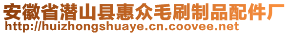 安徽省潛山縣惠眾毛刷制品配件廠