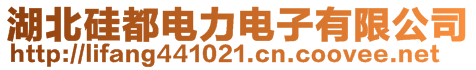 湖北硅都电力电子有限公司