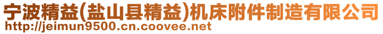 寧波精益(鹽山縣精益)機(jī)床附件制造有限公司