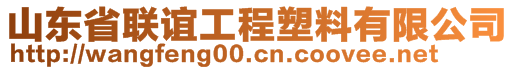 山東省聯(lián)誼工程塑料有限公司