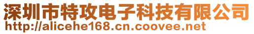 深圳市特攻電子科技有限公司