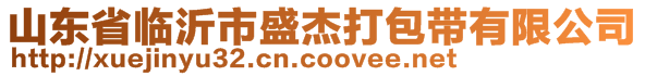 山东省临沂市盛杰打包带有限公司