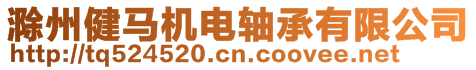 滁州健馬機(jī)電軸承有限公司