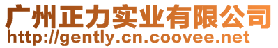 廣州正力實(shí)業(yè)有限公司