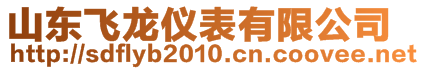 山東飛龍儀表有限公司