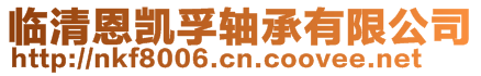 临清恩凯孚轴承有限公司