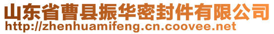 山东省曹县振华密封件有限公司