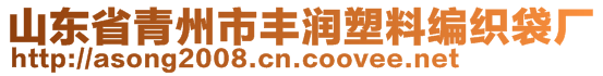 山東省青州市豐潤(rùn)塑料編織袋廠