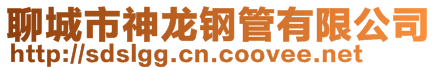 聊城市神龍鋼管有限公司