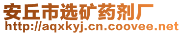 安丘市選礦藥劑廠