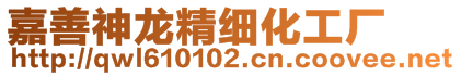 嘉善神龍精細(xì)化工廠