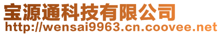 寶源通科技有限公司