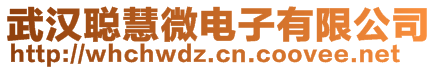 武漢聰慧微電子有限公司