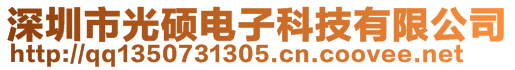 深圳市光硕电子科技有限公司