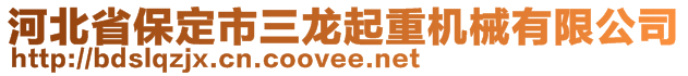 河北省保定市三龍起重機械有限公司