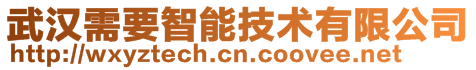 武漢需要智能技術有限公司