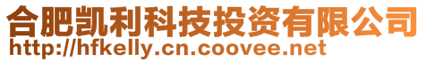 合肥凱利科技投資有限公司