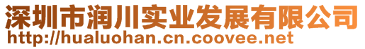 深圳市潤(rùn)川實(shí)業(yè)發(fā)展有限公司