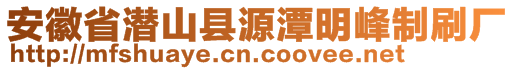 安徽省潜山县源潭明峰制刷厂