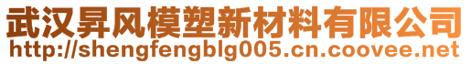 武漢昇風(fēng)模塑新材料有限公司