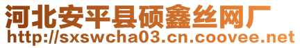 河北安平縣碩鑫絲網(wǎng)廠