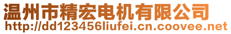 温州市精宏电机有限公司