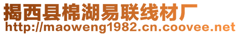 揭西縣棉湖易聯(lián)線材廠