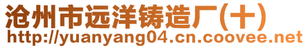 滄州市遠洋鑄造廠(十)