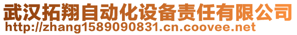 武汉拓翔自动化设备责任有限公司