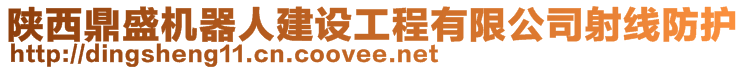 陜西鼎盛機(jī)器人建設(shè)工程有限公司射線防護(hù)