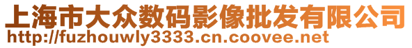 上海市大众数码影像批发有限公司