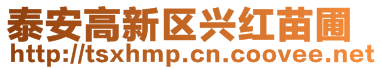 泰安高新區(qū)興紅苗圃