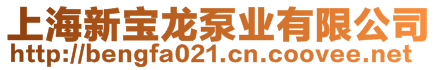 上海新寶龍泵業(yè)有限公司