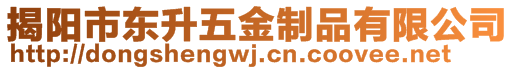 揭陽市東升五金制品有限公司