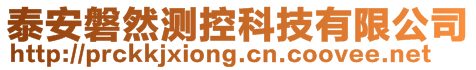 泰安磐然测控科技有限公司