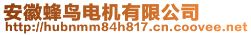 安徽蜂鳥電機(jī)有限公司