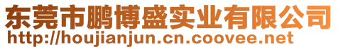 东莞市鹏博盛实业有限公司