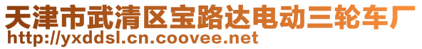 天津市武清區(qū)寶路達電動三輪車廠