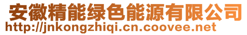  安徽精能綠色能源有限公司