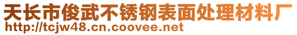 天長市俊武不銹鋼表面處理材料廠