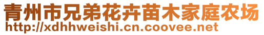 青州市兄弟花卉苗木家庭农场