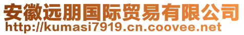 安徽遠(yuǎn)朋國際貿(mào)易有限公司