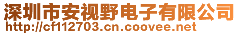 深圳市安視野電子有限公司